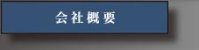 ЊTv