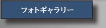 tHgM[